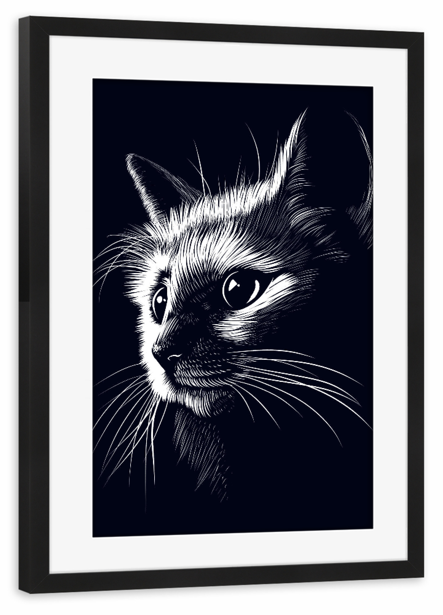 Poster mit Rahmen schwarz "Cat in the shadows" artboxONE - Tiere,Schwarzweiß