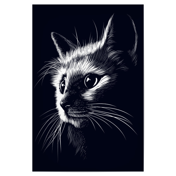 Poster 30x20 cm "Cat in the shadows" artboxONE - Tiere,Schwarzweiß - Cat,Feline,Pet,Domestic cat,Cat whiskers,Cats,Kitten,Katze,Animal,Tier,Cute,Süß