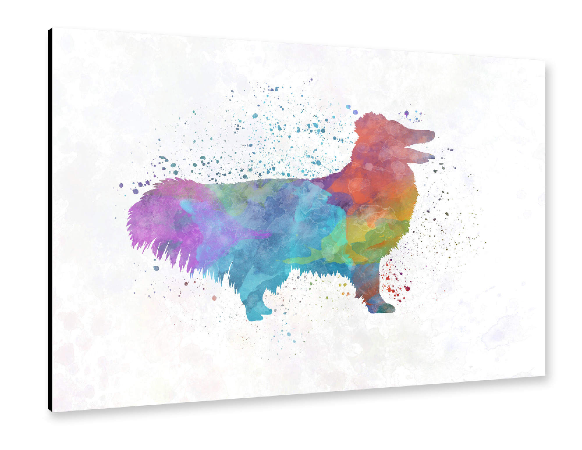 Alu-Dibond "Shetlando Seepdog in watercolor" 75x50 cm artboxONE