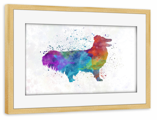Poster mit Rahmen kiefer "Shetlando Seepdog in watercolor" artboxONE - Tiere,Abstrakt
