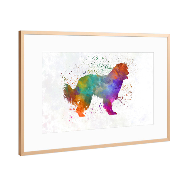 Poster mit Rahmen Kupfer "Pyrenean Sheepdog" artboxONE - Tiere,Abstrakt - Dog,Dogs,Pet,Animal,Mammal,Watercolor,Dog poster,Illustration,Abstract