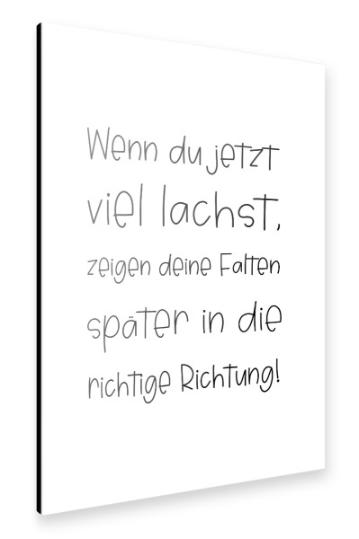 Alu-Dibond "Lachfalten" 30x20 cm artboxONE