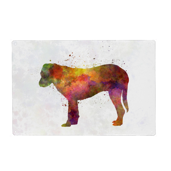 Holzbild "Rafeiro of Alentejo in watercolor" artboxONE - Tiere,Abstrakt - Dog,Dogs,Pet,Animal,Mammal,Watercolor,Dog poster,Illustration,Abstract
