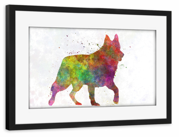 Poster mit Rahmen schwarz "White Swiss Shepherd Dog" artboxONE - Tiere,Abstrakt