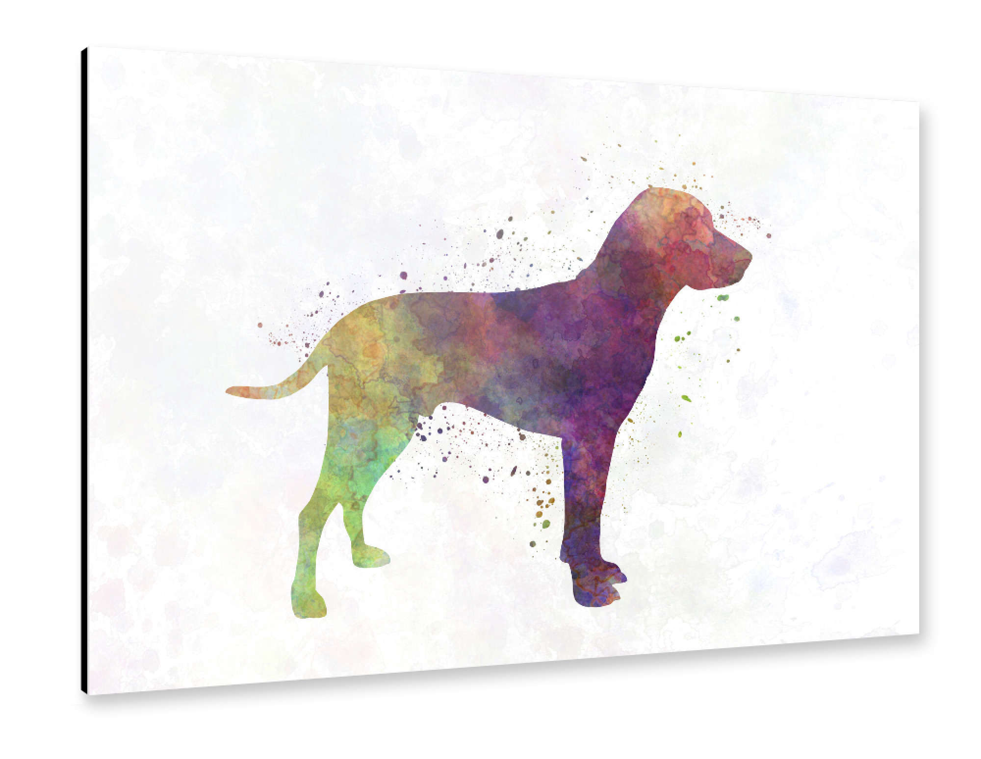 Alu-Dibond "Old Danish Pointer in watercolor" 30x20 cm artboxONE