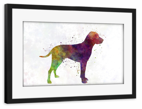 Poster mit Rahmen schwarz "Old Danish Pointer in watercolor" artboxONE - Tiere,Abstrakt