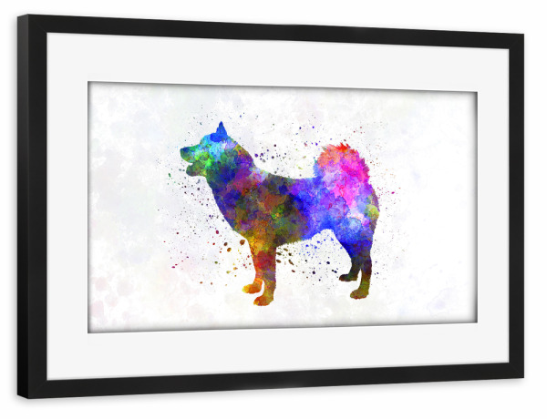 Poster mit Rahmen schwarz "Greenland Dog in watercolor" artboxONE - Tiere,Abstrakt