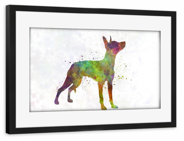 Poster mit Rahmen schwarz "Xoloitzcuintle in watercolor" artboxONE - Tiere,Abstrakt - Dog,Pet,Mammal,Watercolor,Abstract,Hund,Animal,Tier