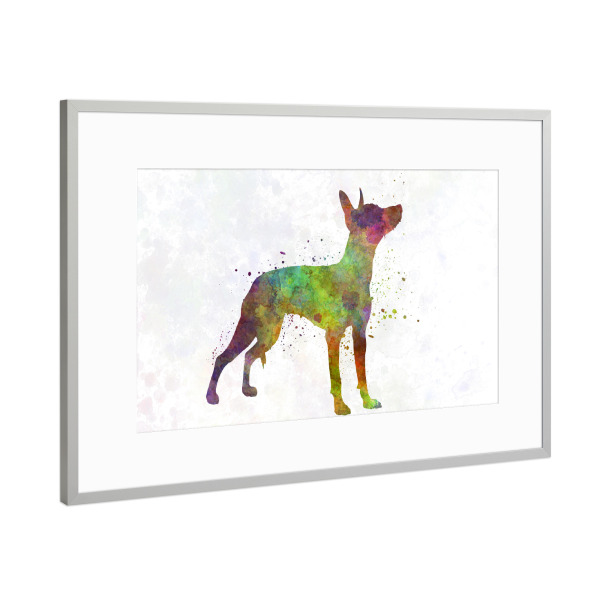 Poster mit Rahmen Silber "Xoloitzcuintle in watercolor" artboxONE - Tiere,Abstrakt - Dog,Pet,Mammal,Watercolor,Abstract,Hund,Animal,Tier