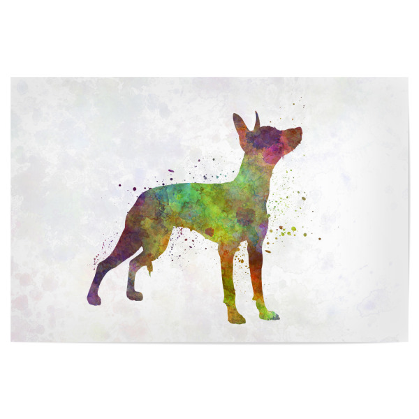 Poster 30x20 cm "Xoloitzcuintle in watercolor" artboxONE - Tiere,Abstrakt - Dog,Pet,Mammal,Watercolor,Abstract,Hund,Animal,Tier