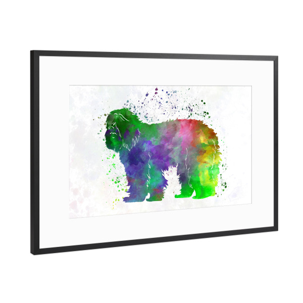 Poster mit Rahmen Schwarz (Metallic) "Portuguese Sheepdog in watercolor" artboxONE - Tiere,Abstrakt