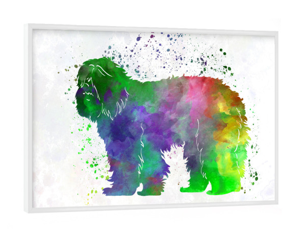 Poster mit weißem Rahmen "Portuguese Sheepdog in watercolor" artboxONE - Tiere,Abstrakt