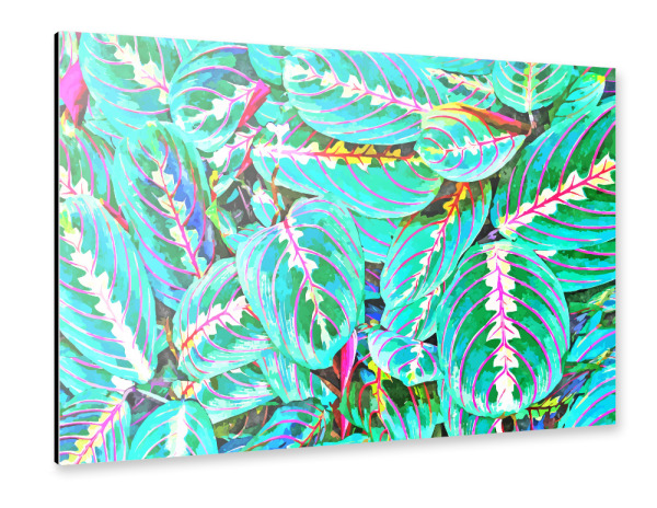 Alu-Dibond "Lets find a beautiful place" 30x20 cm artboxONE