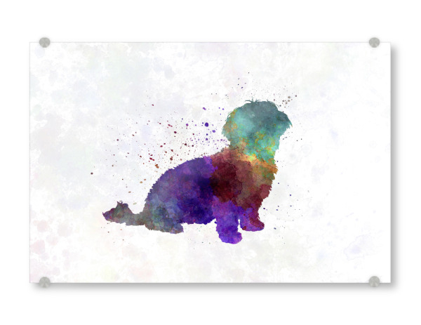 Acrylglasbild "Havanese dog" artboxONE - Tiere,Abstrakt - Dog,Dogs,Pet,Mammal,Watercolor,Abstract,Tier,Animal,Bunt,Colorful