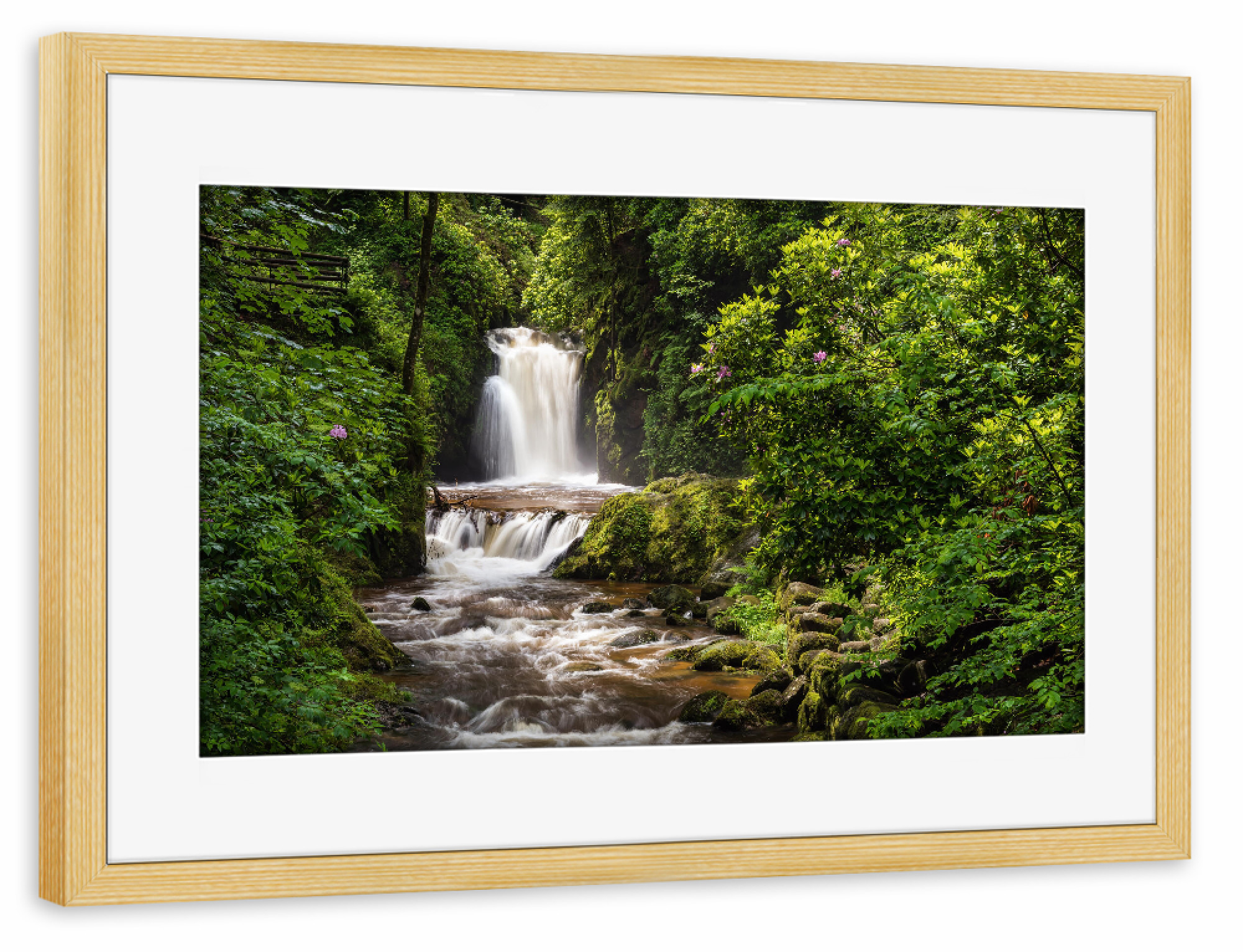 Poster mit Rahmen kiefer "Geroldsauer Wasserfall Schwarzwald" artboxONE - Natur,Reise