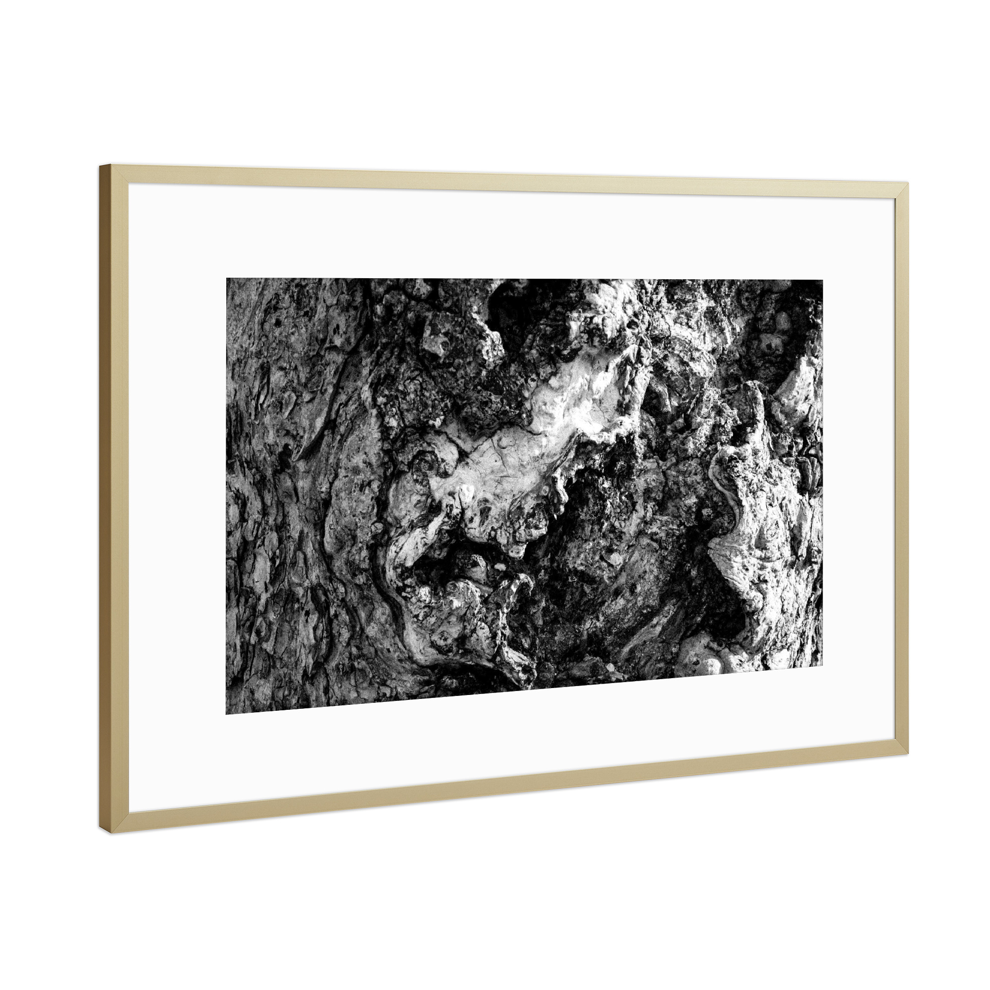 Poster mit Rahmen Gold "Baumrinde in bw" artboxONE - Natur,Schwarzweiß - Baum,Rinde,Pflanzen,Tree,Schwarzweiß,Blackandwhite