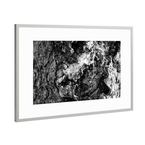 Poster mit Rahmen Silber "Baumrinde in bw" artboxONE - Natur,Schwarzweiß - Baum,Rinde,Pflanzen,Tree,Schwarzweiß,Blackandwhite