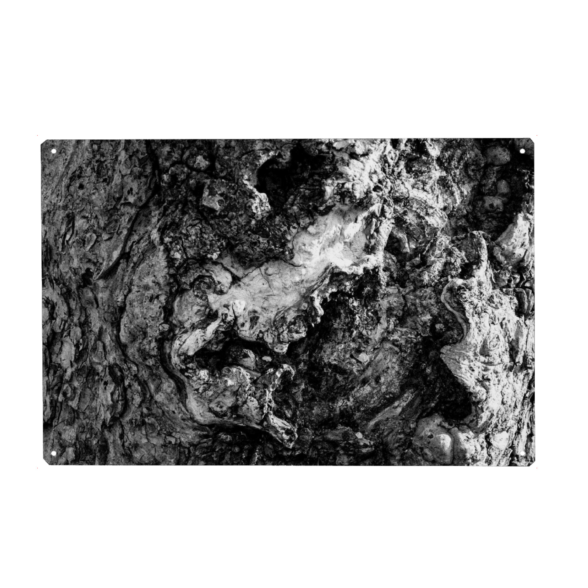 Metall Poster "Baumrinde in bw" artboxONE - Natur,Schwarzweiß - Baum,Rinde,Pflanzen,Tree,Schwarzweiß,Blackandwhite - Blechschild