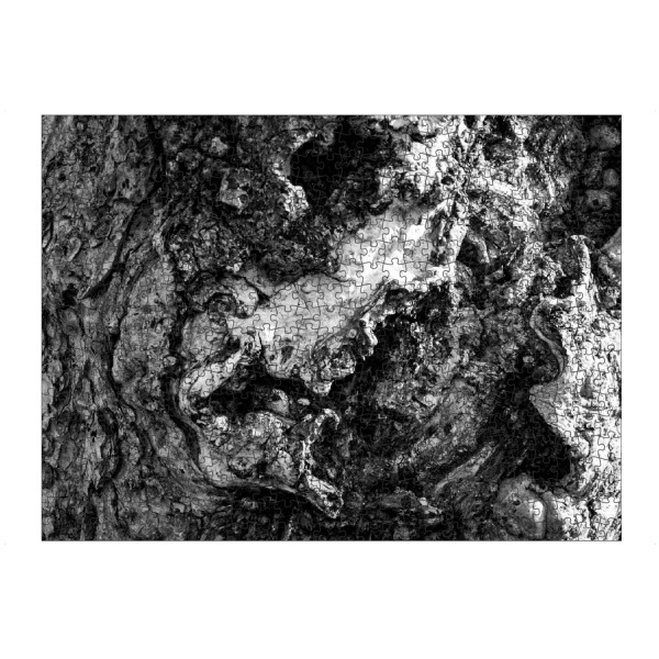 Puzzle Ravensburger "Baumrinde in bw" artboxONE - Natur,Schwarzweiß - Baum,Rinde,Pflanzen,Tree,Schwarzweiß,Blackandwhite - Bild baum
