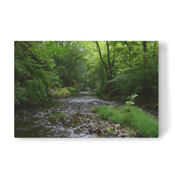 Leinwandbild "Ein Bach inmitten des Waldes" artboxONE - Natur