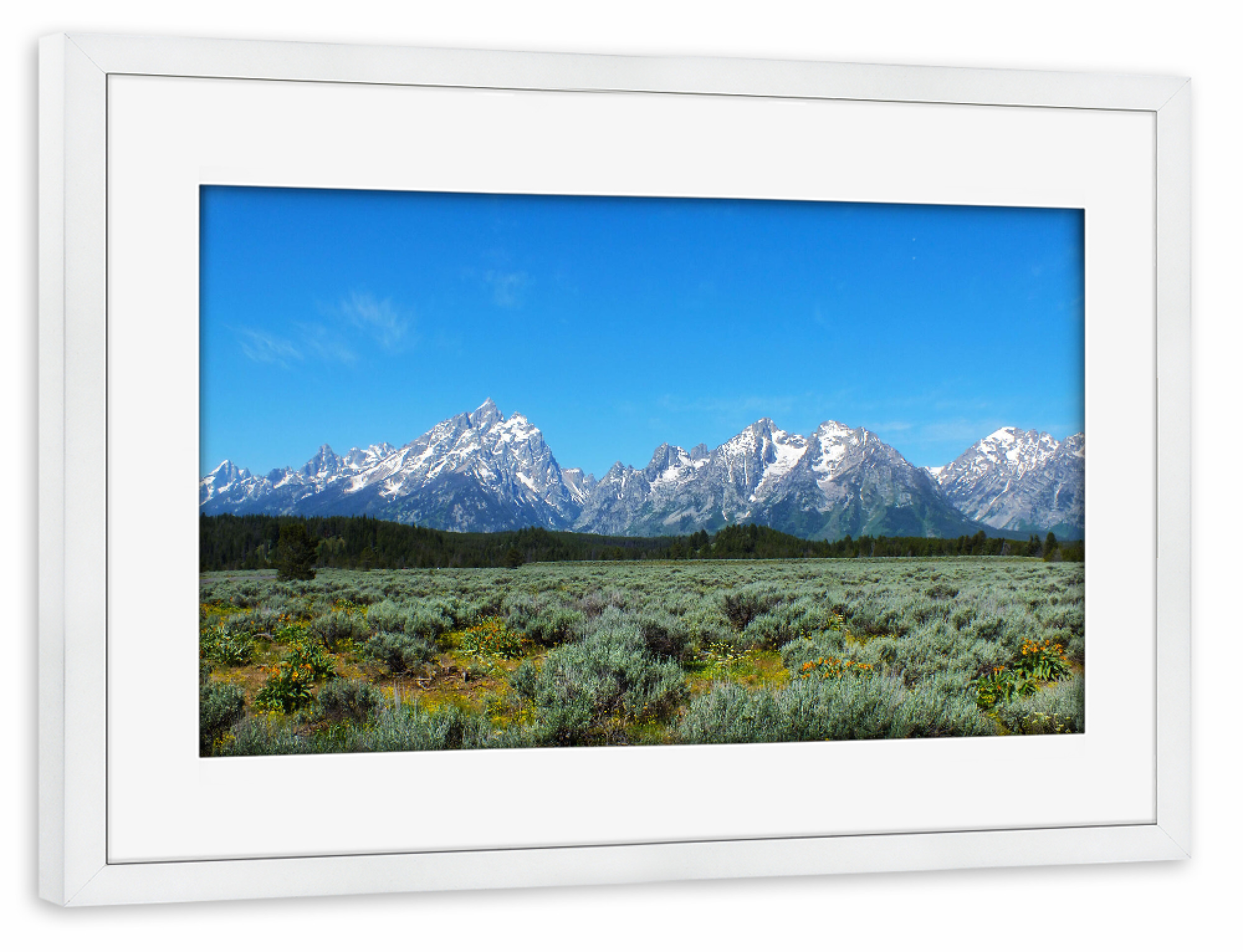 Poster mit Rahmen weiß "Grand Teton NP, Wyoming" artboxONE - Natur,Reise,Reise / Länder