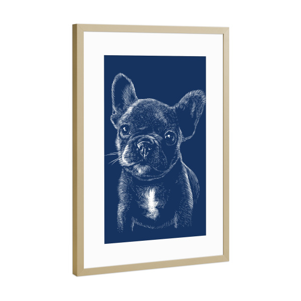 Poster mit Rahmen Gold "Pug in the shadow" artboxONE - Tiere - Dog,Puppy,Pug,Pet,Hund,Cute,Süß,Animal,Tier