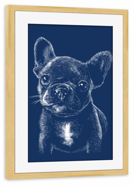 Poster mit Rahmen kiefer "Pug in the shadow" artboxONE - Tiere - Dog,Puppy,Pug,Pet,Hund,Cute,Süß,Animal,Tier