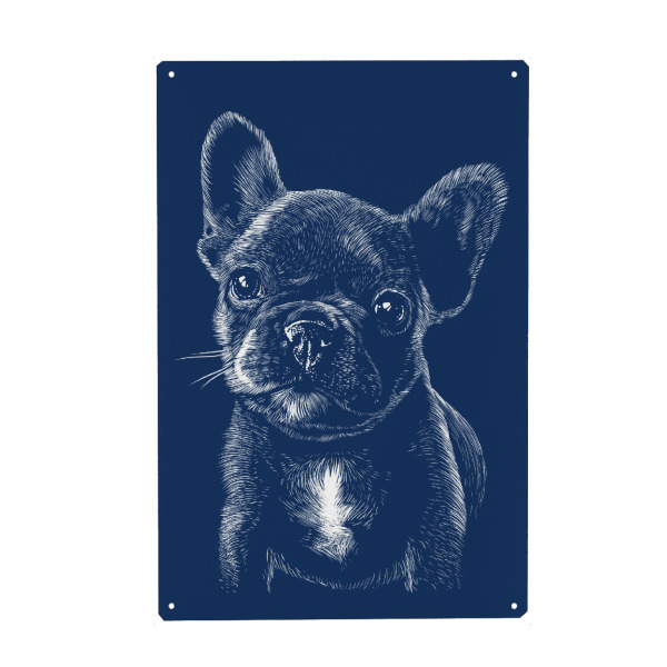 Metall Poster "Pug in the shadow" artboxONE - Tiere - Dog,Puppy,Pug,Pet,Hund,Cute,Süß,Animal,Tier - Blechschild
