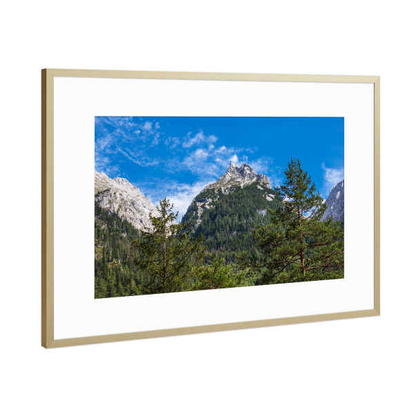 Poster mit Rahmen Gold "Baumwipfel und Berge" artboxONE - Natur,Reise
