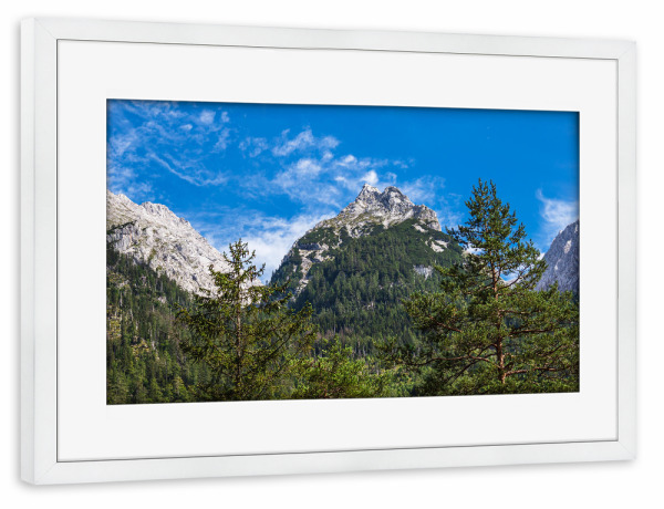 Poster mit Rahmen weiß "Baumwipfel und Berge" artboxONE - Natur,Reise