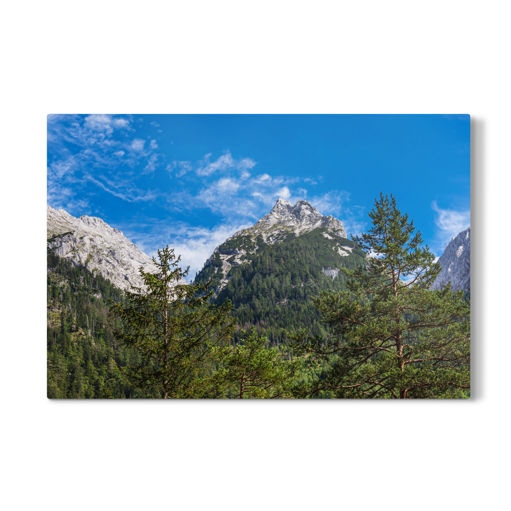 Galerie-Print "Baumwipfel und Berge" 75x50 cm artboxONE