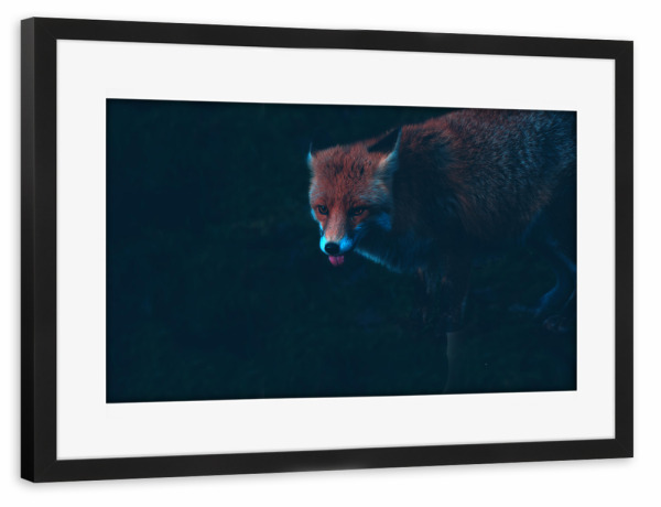 Poster mit Rahmen schwarz "Fuchszunge" artboxONE - Natur,Tiere