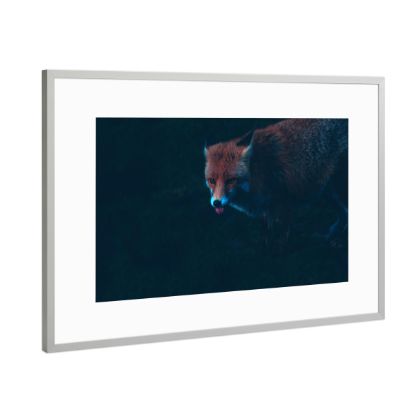 Poster mit Rahmen Silber "Fuchszunge" artboxONE - Natur,Tiere