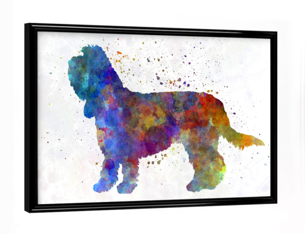 Poster mit schwarzem Rahmen "Grand Basset Griffon Vendeen" artboxONE - Tiere,Abstrakt