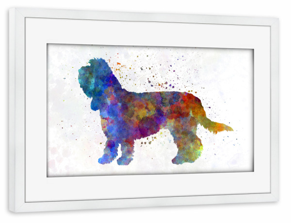 Poster mit Rahmen weiß "Grand Basset Griffon Vendeen" artboxONE - Tiere,Abstrakt