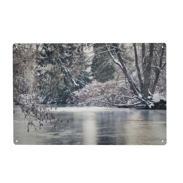 Holzbild "Eiszeit im Winter" artboxONE - Natur,Floral
