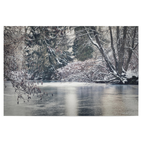 Poster 30x20 cm "Eiszeit im Winter" artboxONE - Natur,Floral