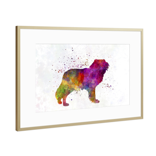 Poster mit Rahmen Gold "Kooikerhondje in watercolor" artboxONE - Tiere,Abstrakt - Dog,Dogs,Pet,Animal,Mammal,Watercolor,Dog poster,Abstract