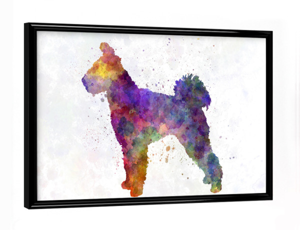 Poster mit schwarzem Rahmen "Pumi in watercolor" artboxONE - Tiere,Abstrakt - Dog,Pet,Mammal,Watercolor,Dog poster,Abstract,Tier,Animal,Hund