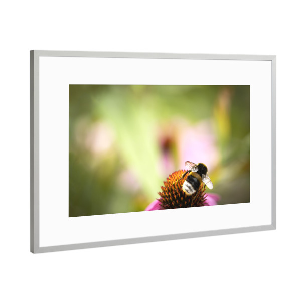 Poster mit Rahmen Silber "Shhhh....Still Working" artboxONE - Natur,Floral,Tiere,Für Mama