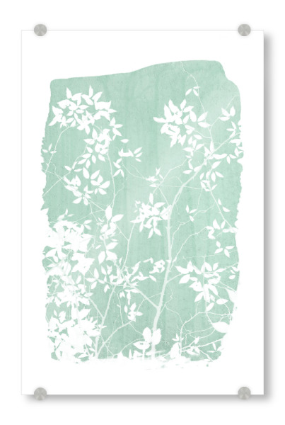 Acrylglasbild "Quiet Foliage on Mint Green" artboxONE - Natur,Floral - Nature,Botanical,Foliage,Plant,Leaves,Clean,Pastel,Muted,Modern,Morandi
