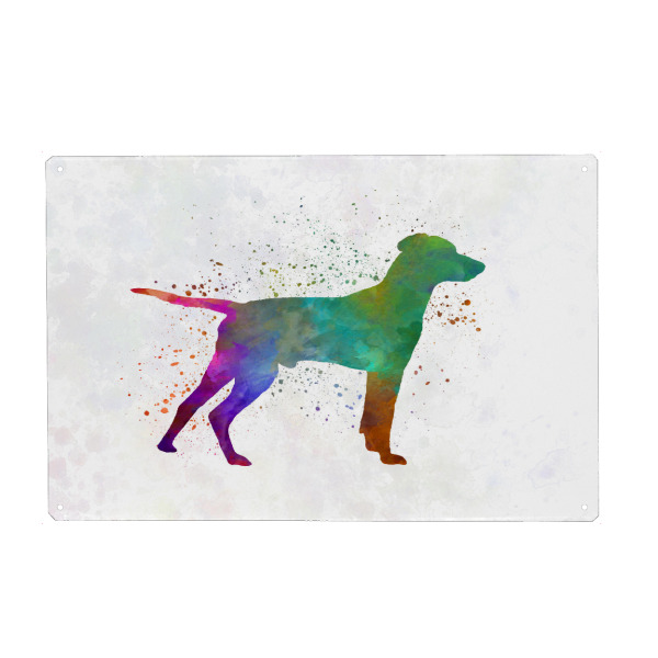 Metall Poster "Hellenic Hound dog" artboxONE - Tiere,Abstrakt - Dog,Pet,Animal,Mammal,Watercolor,Illustration,Abstract,Hund,Tier - Blechschild