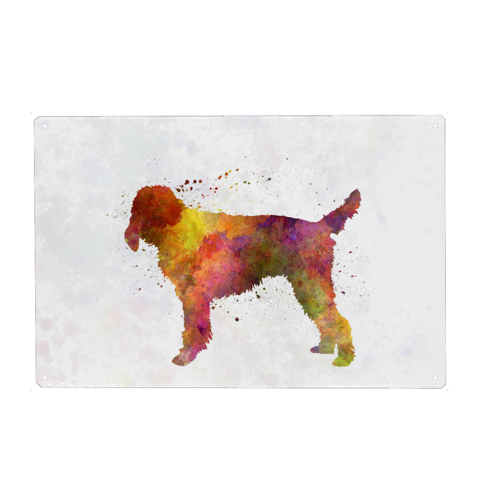 Metall Poster "Medium Griffon Vendeen dog" artboxONE - Tiere,Abstrakt