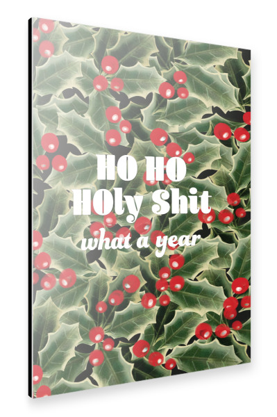 Alu-Dibond "Ho Ho Holy Shit" 30x20 cm artboxONE