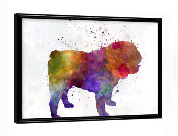 Poster mit schwarzem Rahmen "English Bulldog in watercolor" artboxONE - Tiere,Abstrakt