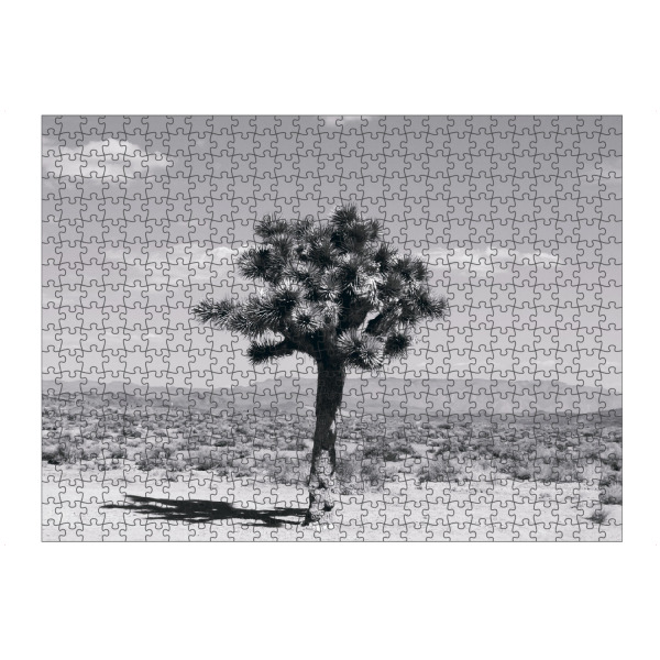 artboxONE Puzzle "The Joshua Tree in Nevada" artboxONE - Natur,Reise,Floral,Schwarzweiß,Reise / Länder