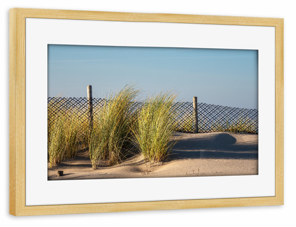 Poster mit Rahmen kiefer "Düne, Gras, Zaun" artboxONE - Natur,Reise,Reise / Strand und Meer