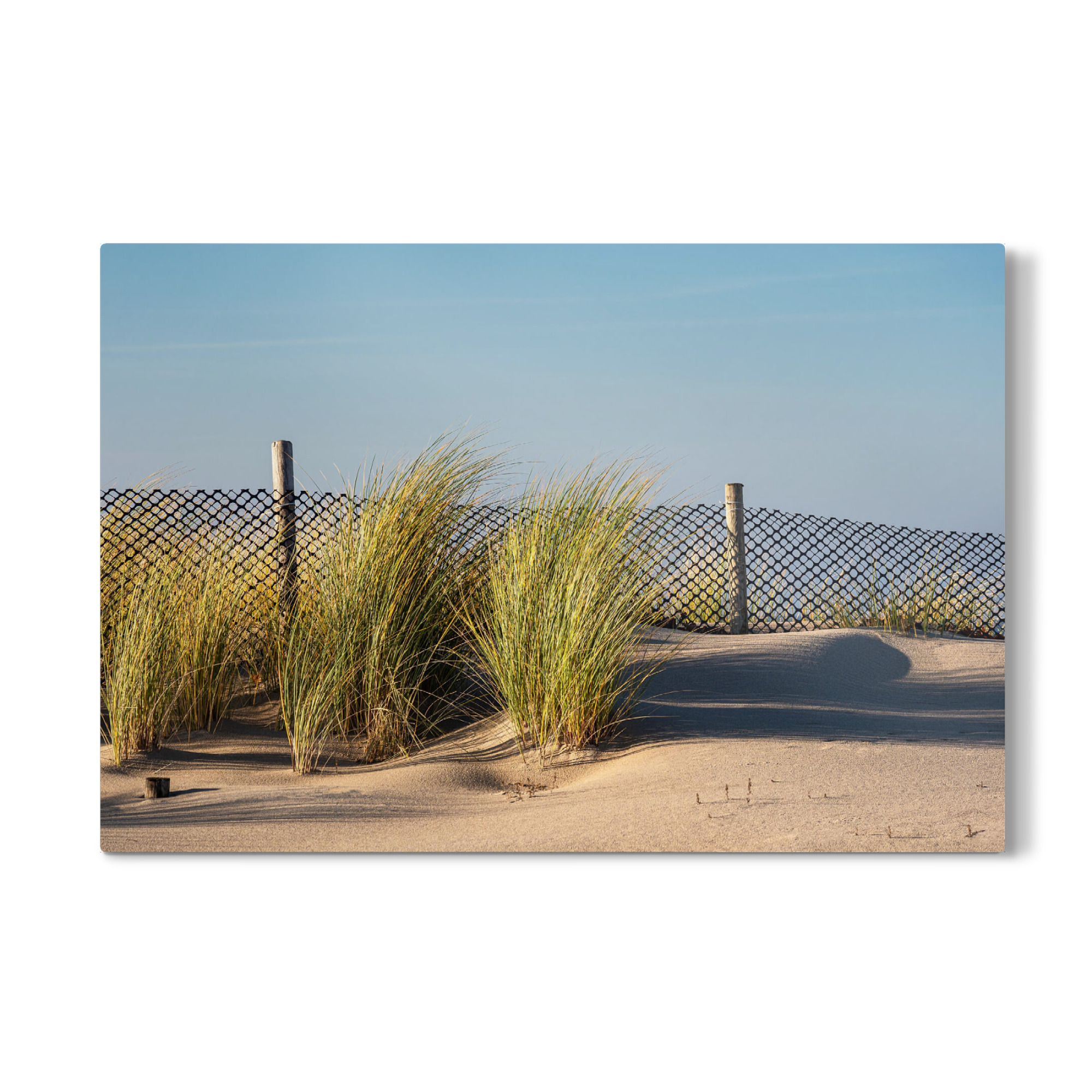 Galerie-Print "Düne, Gras, Zaun" 75x50 cm artboxONE