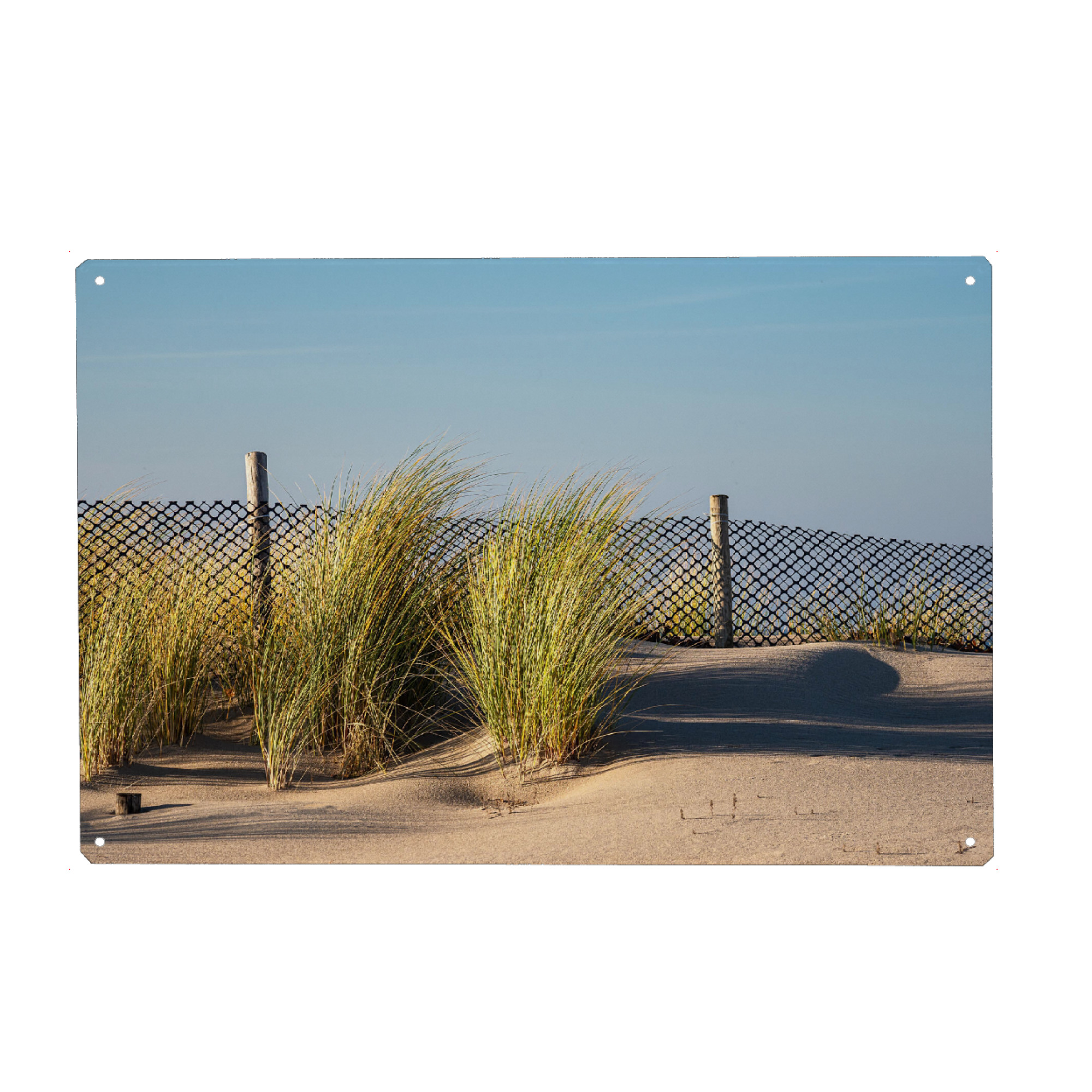 Metall Poster "Düne, Gras, Zaun" artboxONE - Natur,Reise,Reise / Strand und Meer