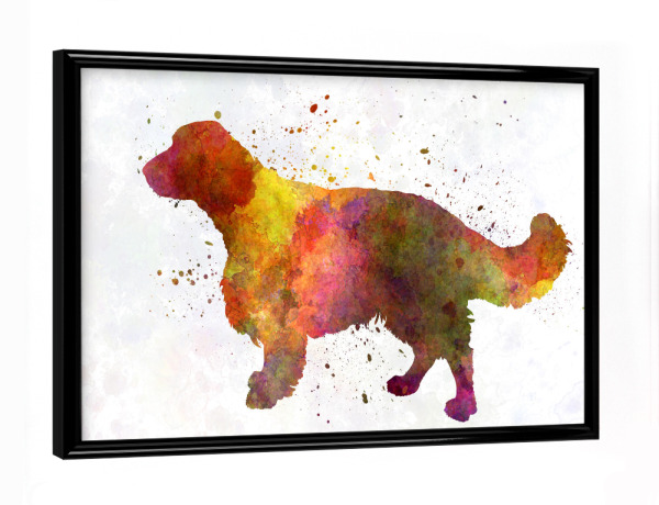 Poster mit schwarzem Rahmen "Welsh Springer Spaniel dog" artboxONE - Tiere,Abstrakt - Dog,Pet,Animal,Mammal,Watercolor,Abstract,Hund,Bunt,Colorful